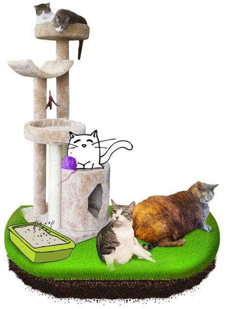 pet sitting